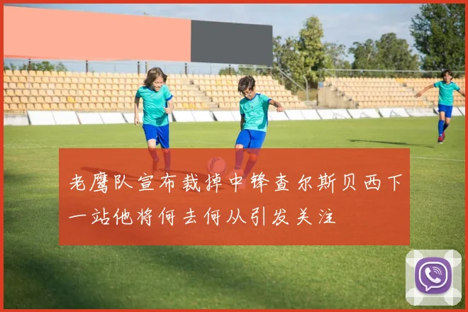 老鹰队宣布裁掉中锋查尔斯贝西下一站他将何去何从引发关注