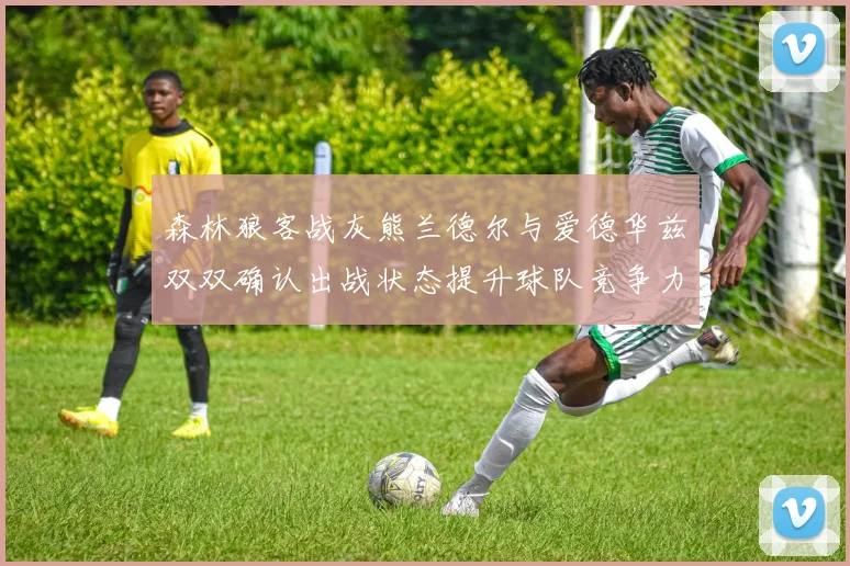 森林狼客战灰熊兰德尔与爱德华兹双双确认出战状态提升球队竞争力