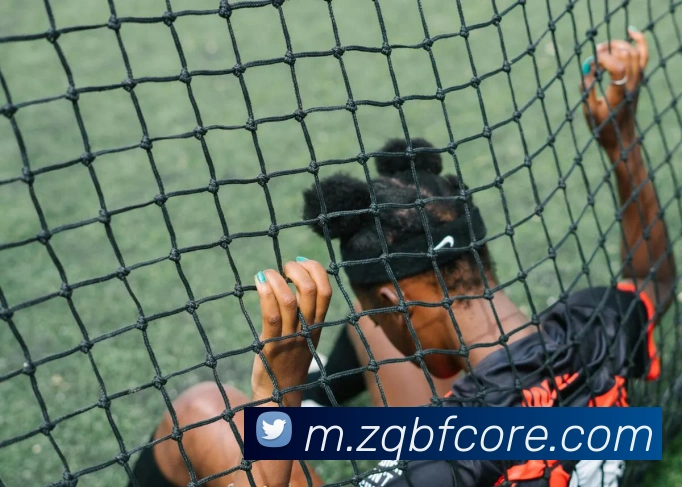 足球比分平台生态图