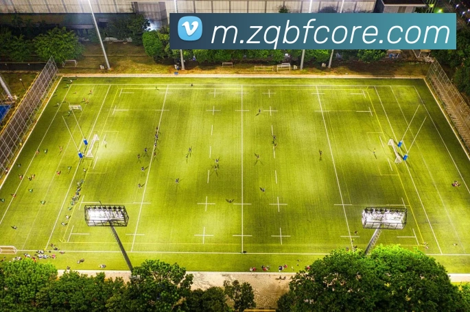 数据防护可视化